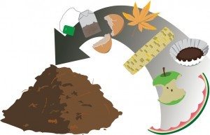 compost diagram