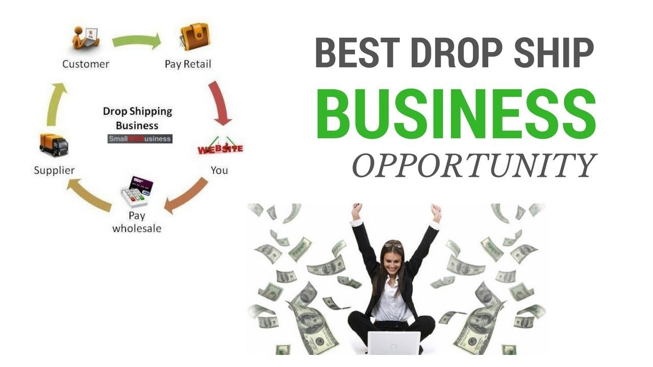 chart illustrating dropshipping business opportunities available