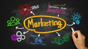 Marketing Black Board start a dropship business