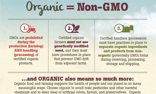 Infographic: Organic equals Non GMO. 1. GMOs are prohibited during the production (or farming) and handling (or processing) of certified organic products. 2. Certified Organic farmers must not use genetically modified seed, and they must have procedures in place to prevent GMO drift from adjacent farms. 3. Certified Organic handlers (or processors) must have practices in place to separate organic ingredients and products from non organic (potentially GMO) forms during receiving, processing, storage and shipping. And organic means so much more: choose organic to avoid toxic pesticides and other harmful chemicals, and to steer clear of artificial colors, flavors and preservatives. Source: Organic Trade Association.