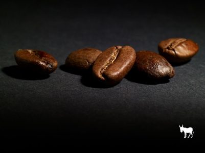 coffee beans in line
