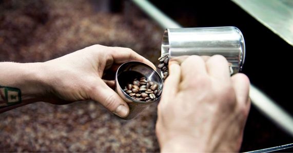 Someone inspects coffee beans as they pour the beans into a metal cup.