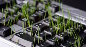 grass growing from a keyboard