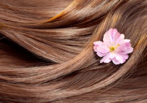 close up of hair with a flower