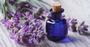 Organic Essential Oils Wholesale: Relaxing Lavender