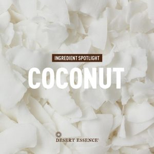 ingredient spotlight: coconut. 