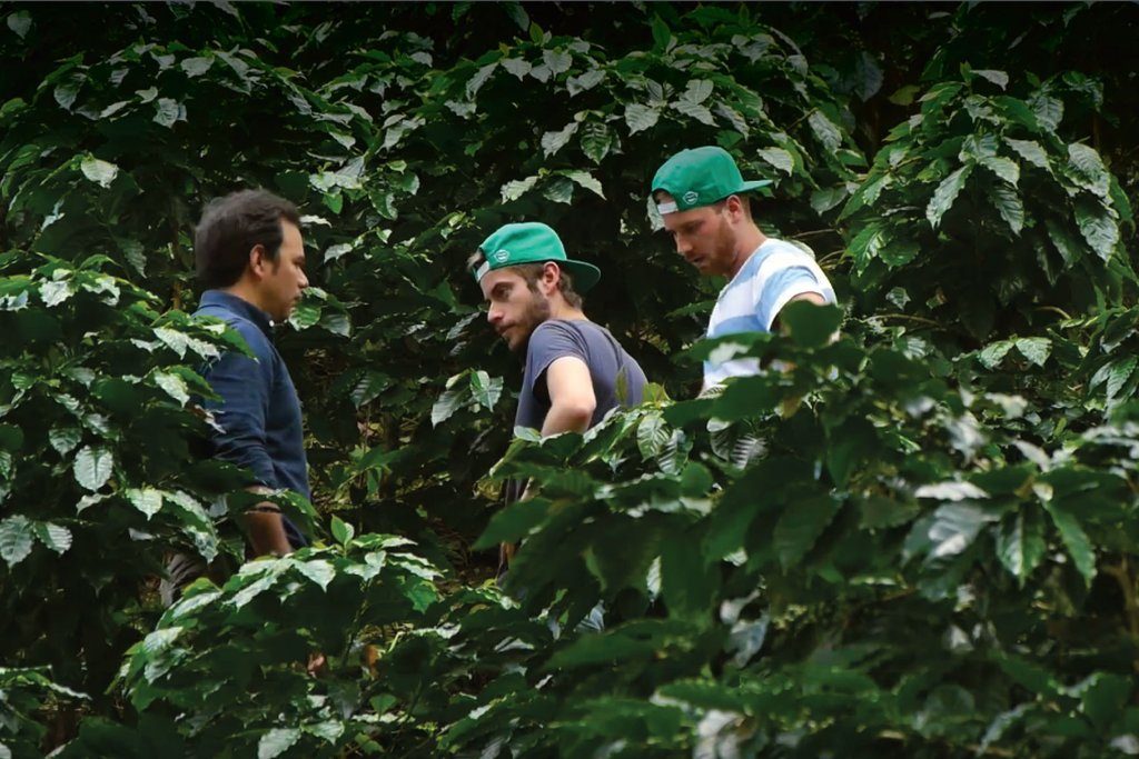 Wize Monkey`s Founders` Coffee Leaf Quest in Nicaragua