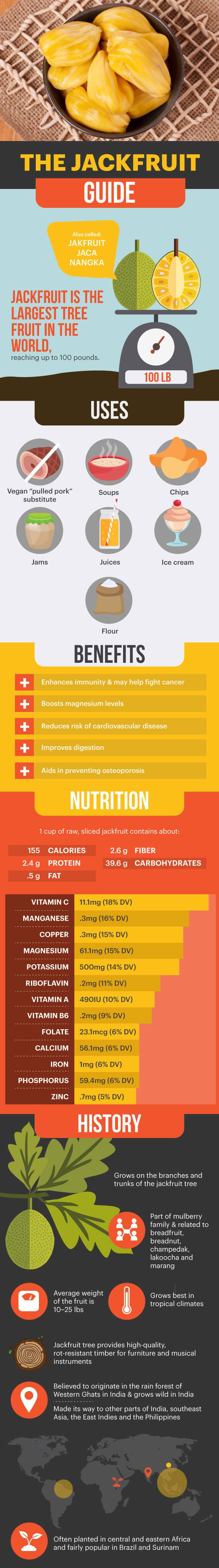 health benefits of jackfruit infographic guide