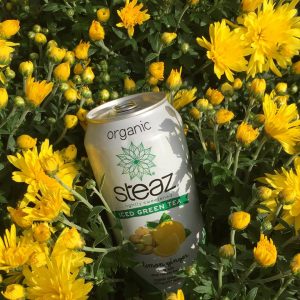 Steaz Organic Tea Drink