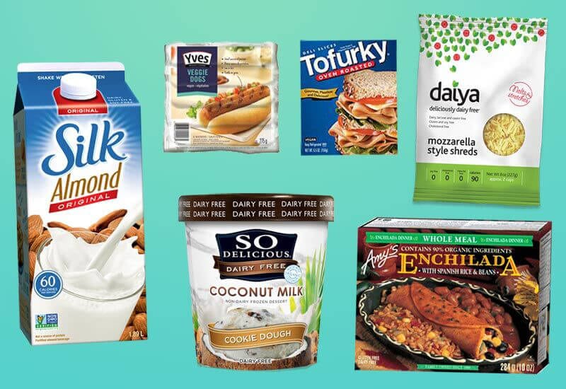 Start Your Vegan Wholesale Dropshipping Business to Make Money