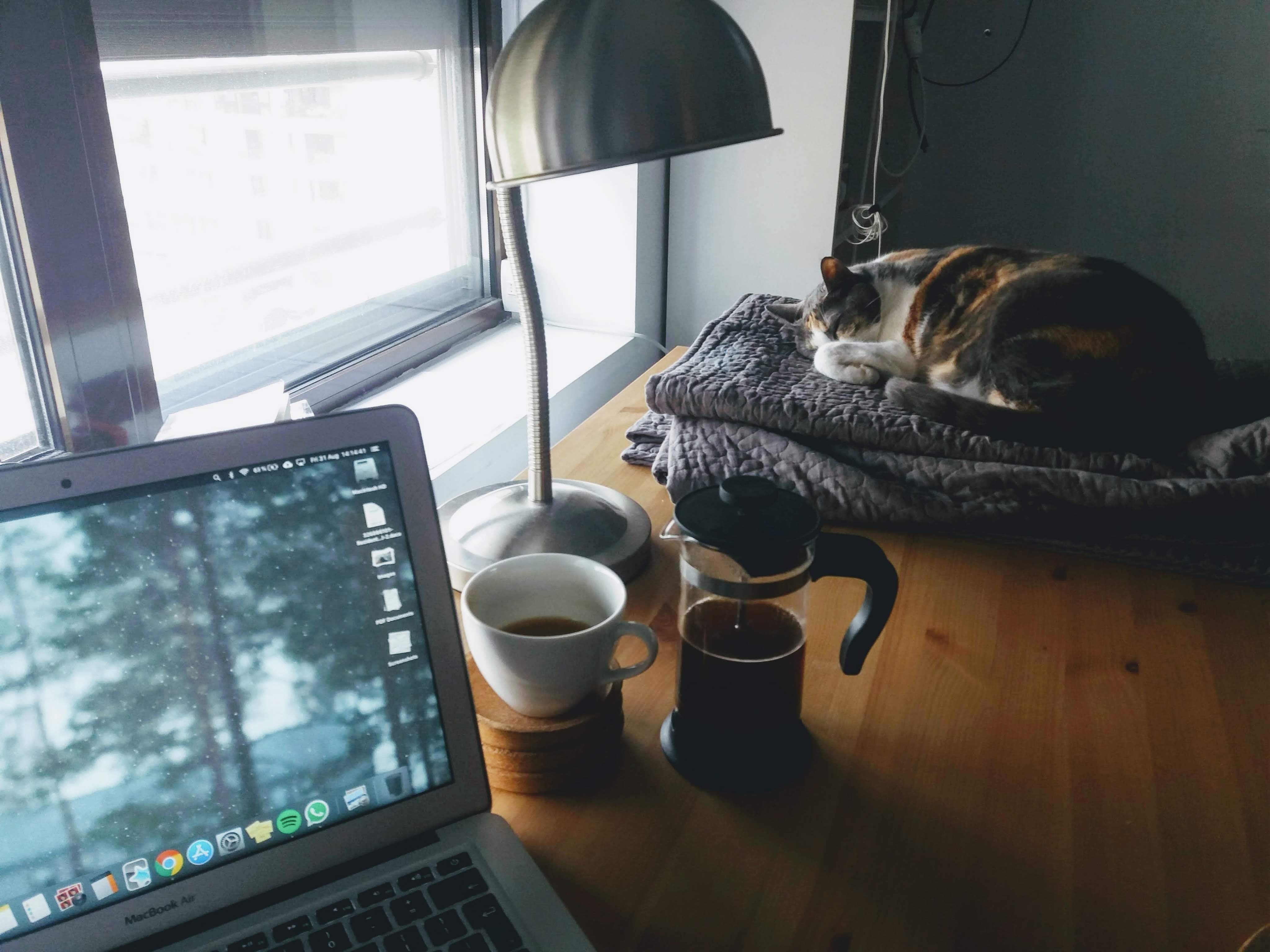 Dropshipping Pet Supplies: What Everybody Needs to Know