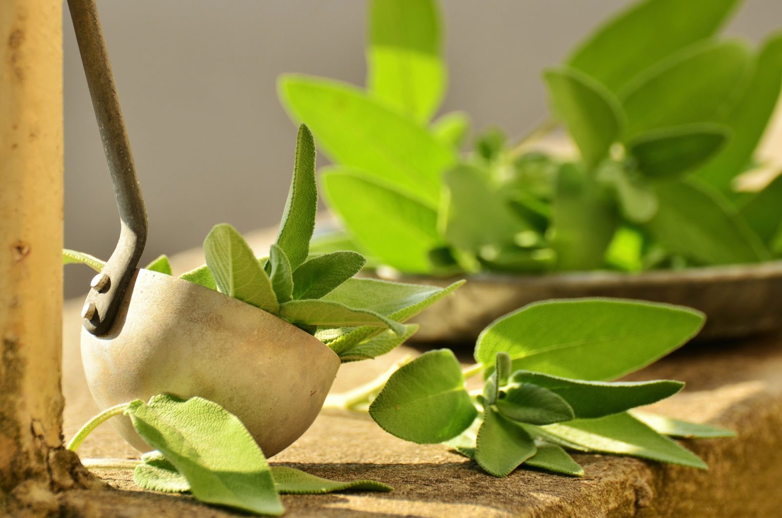 Bulk Herbs What Every Reseller Needs to Know