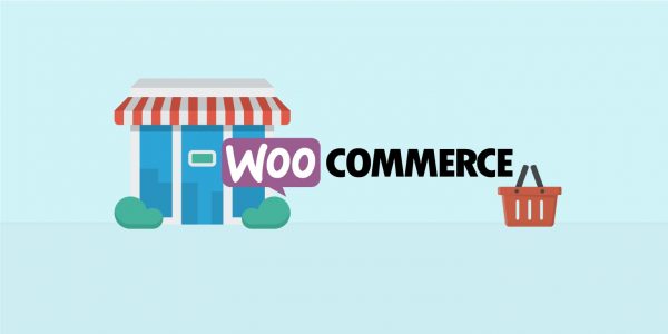 Using woocommerce plugin to launch your dropshipping online store