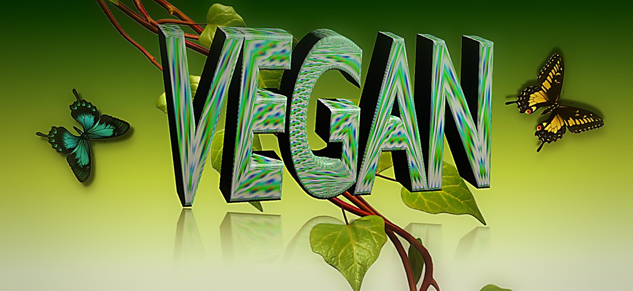Vegan Food Wholesale Distributors You Need To Know About