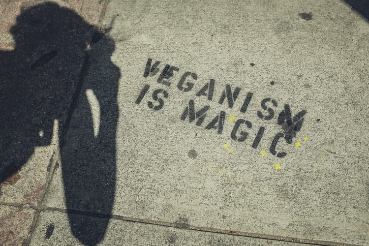 Vegan Food Trends: Best Products To Sell In 2020