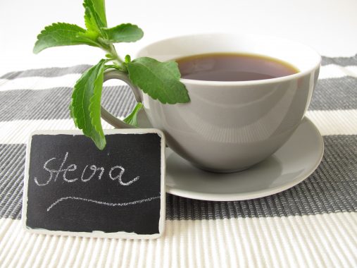 Top Wholesale Stevia Products to Sell Online