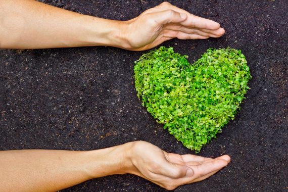 two hands around a green plant shaped like a heart. Dropshipping eco-friendly products
