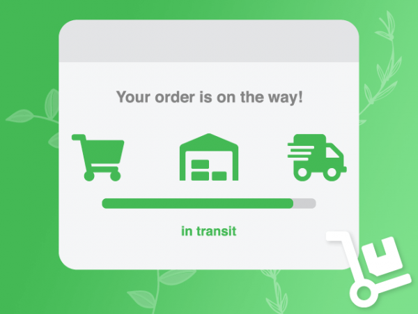 Illustration of order progress in web browser: "Your order is on the way! In transit"