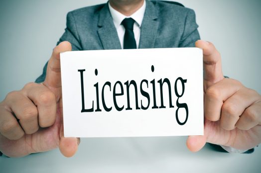 DO ONLINE STORES NEED A BUSINESS LICENSE