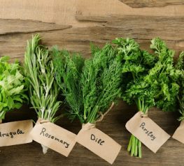 How To Find A Bulk Herb Supplier To Sell Online