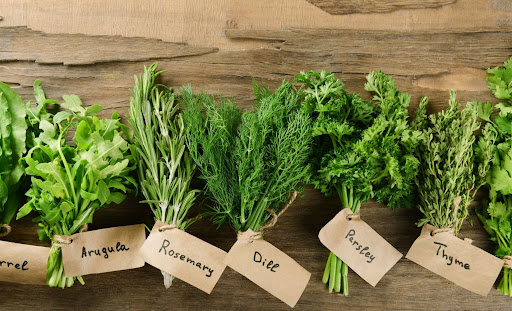 How to find bulk herbs to sell online
