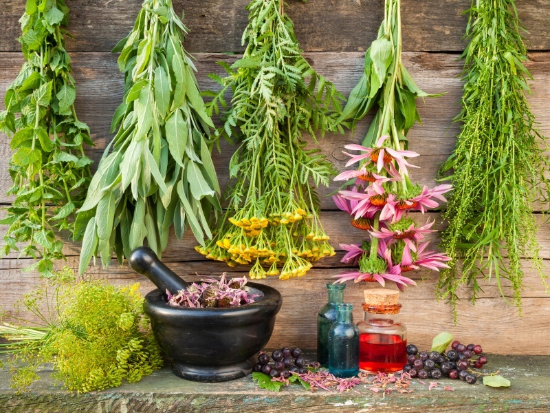 What Are The Health & Nutritional Benefits of Herbs? 