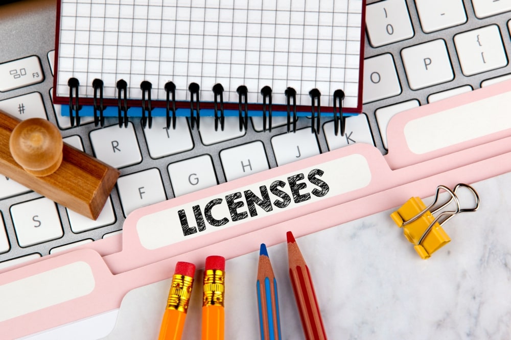 What Are the Different Types of Business Licenses for Online Stores?