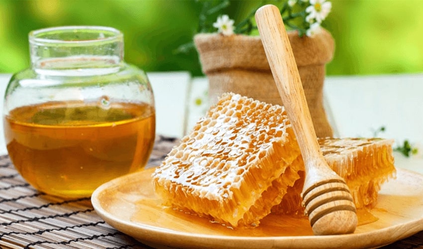 Top Wholesale Honey Products From GreenDropShip