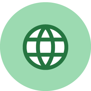 Globe icon