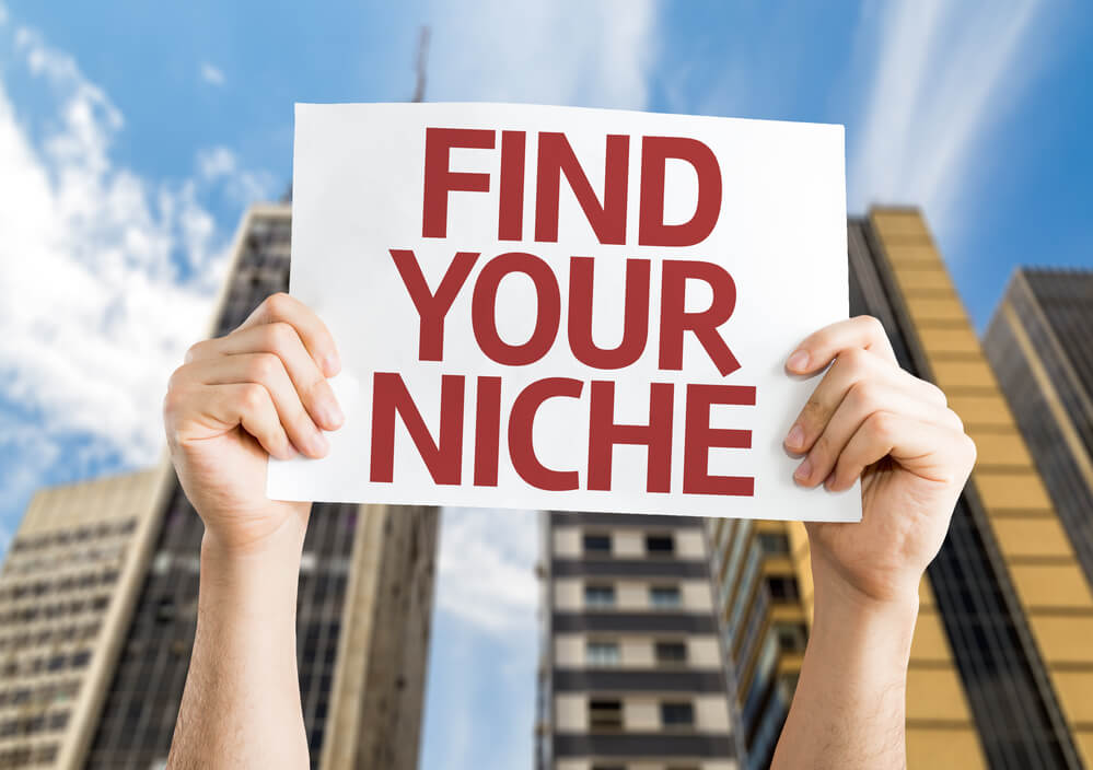 Find a strong niche to increase your sales!